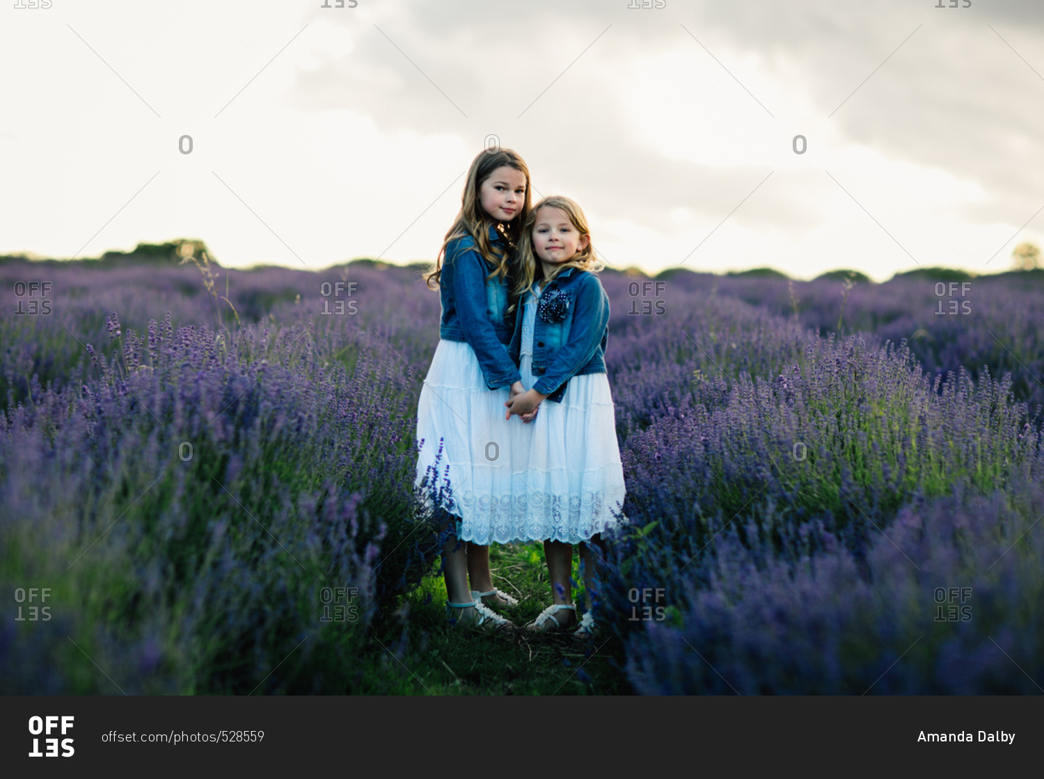 Two sisters holding hands and standing together in a field of lavender flowers