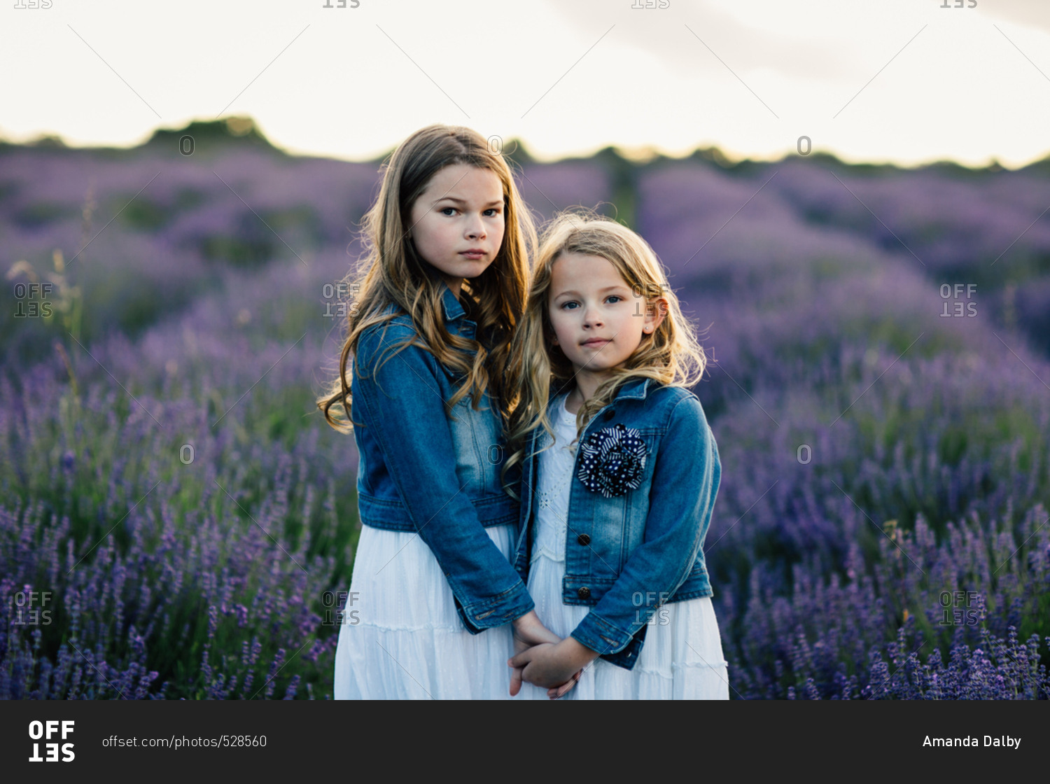 Sisters holding hands and standing in a field of purple lavender flowers