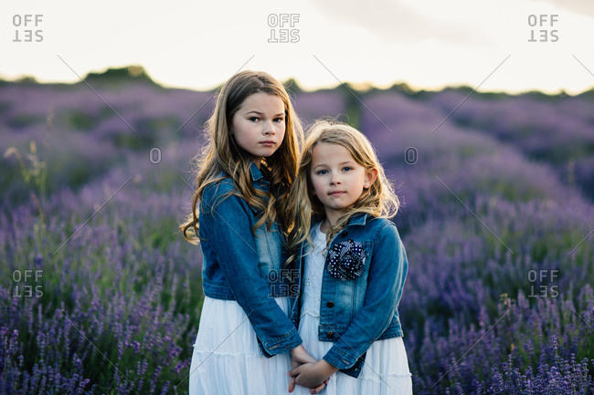 Sisters holding hands and standing in a field of purple lavender flowers