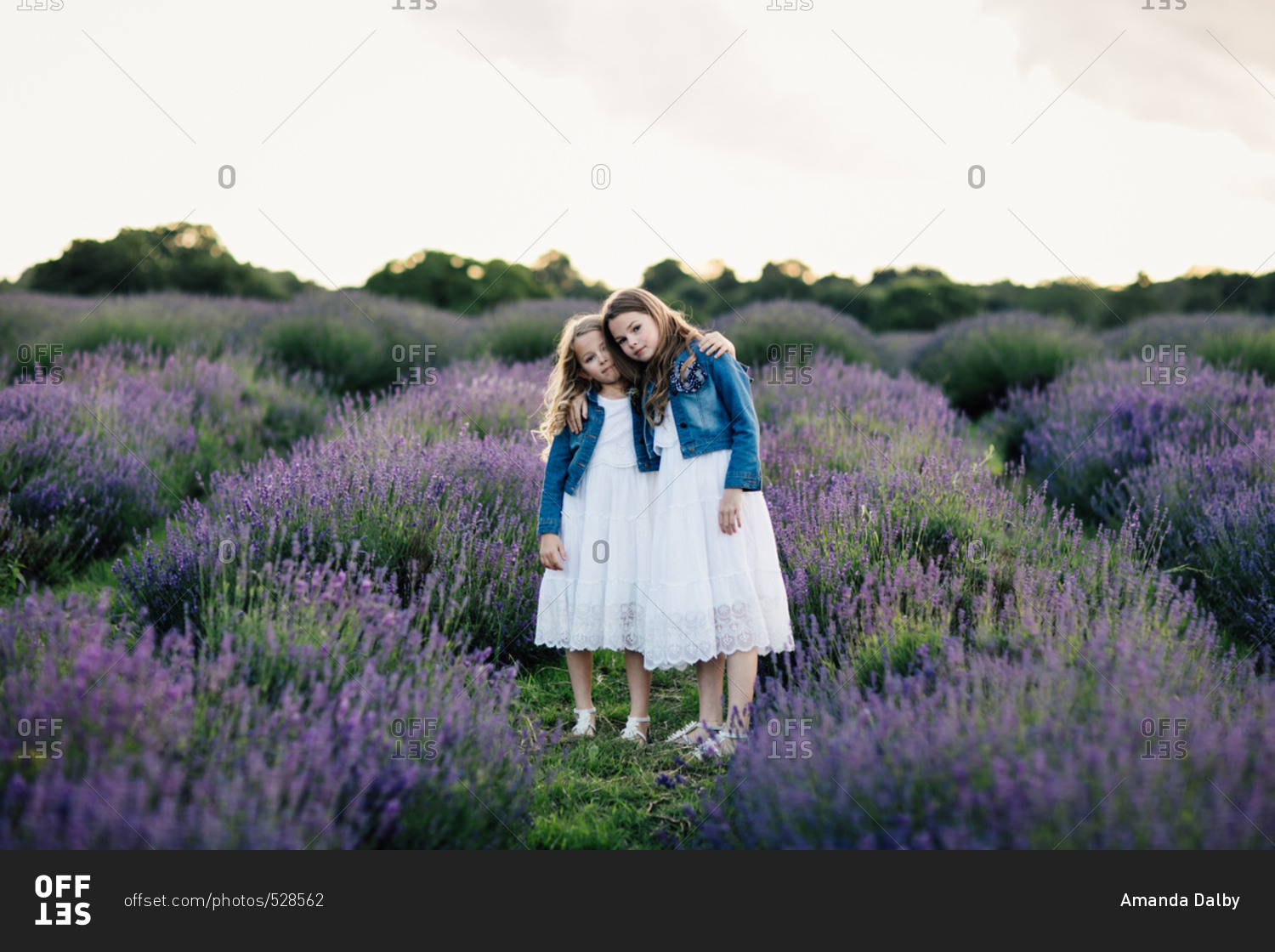 Two sisters standing with their arms around each other in a field of lavender flowers