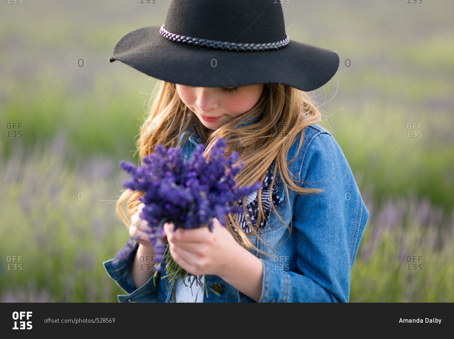 Girl wearing a cowboy hat holding a bunch of freshly picked lavender flowers