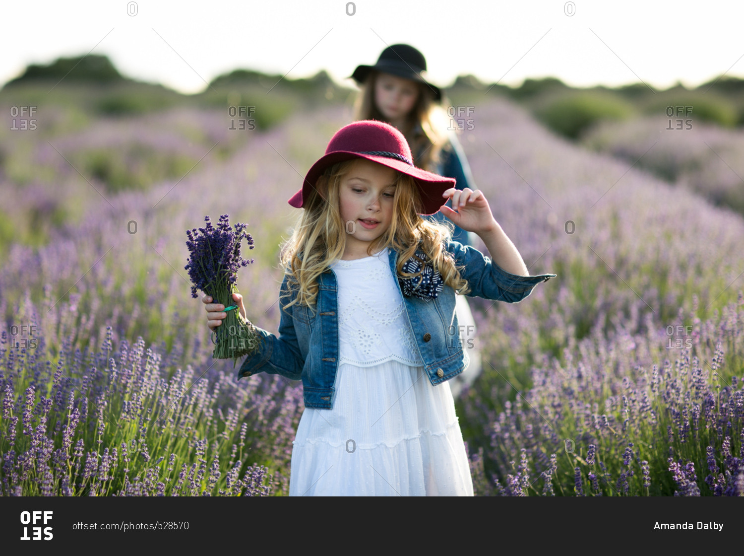 Girl holding a bunch of freshly picked lavender flowers standing in a field with her sister