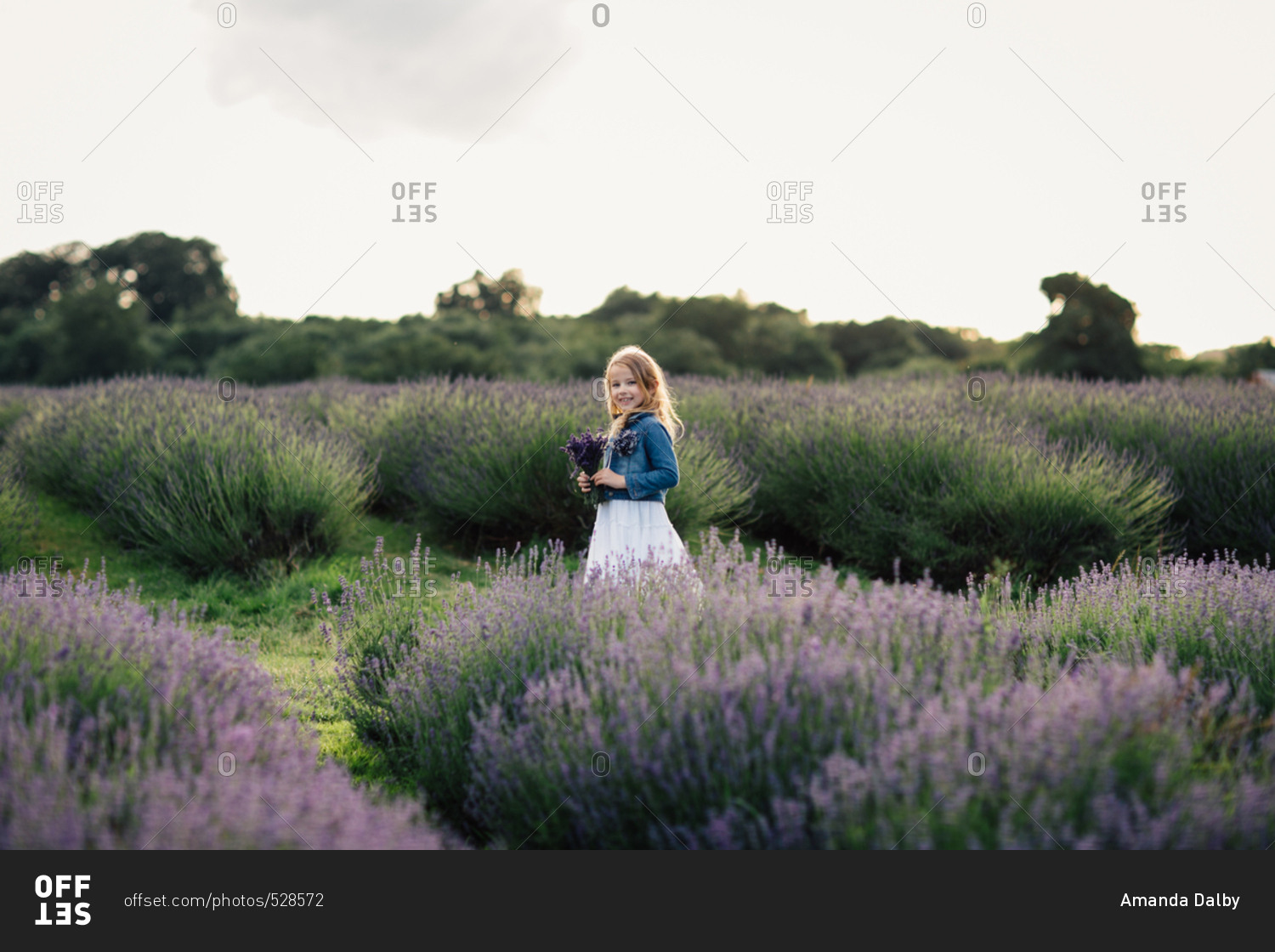Smiling girl holding a bunch of freshly picked lavender flowers standing in field