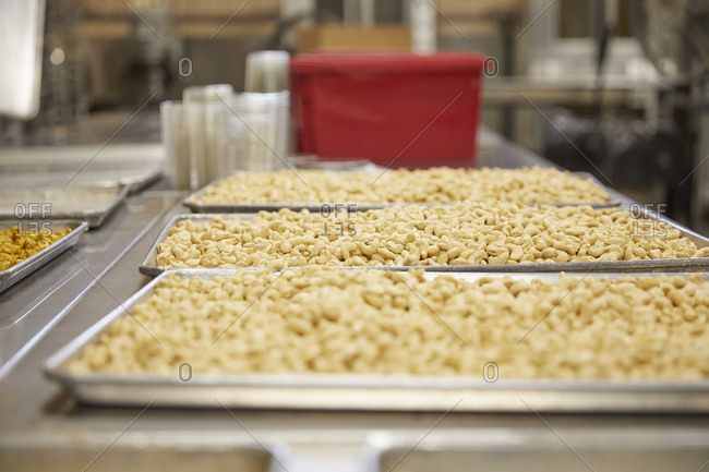 Close up of cashews on baking sheet in factory