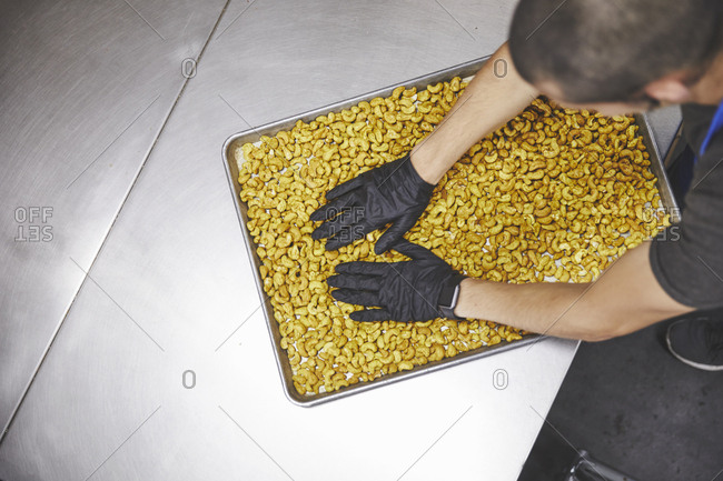 High angle view of man checking fresh cashews in sheet at factory