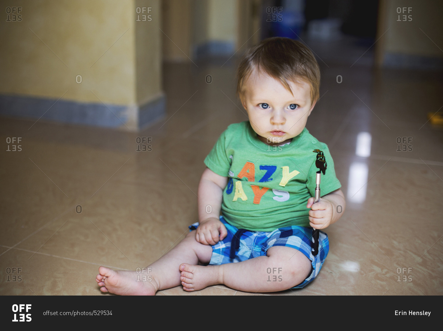 Boy holding a pet scratching toy