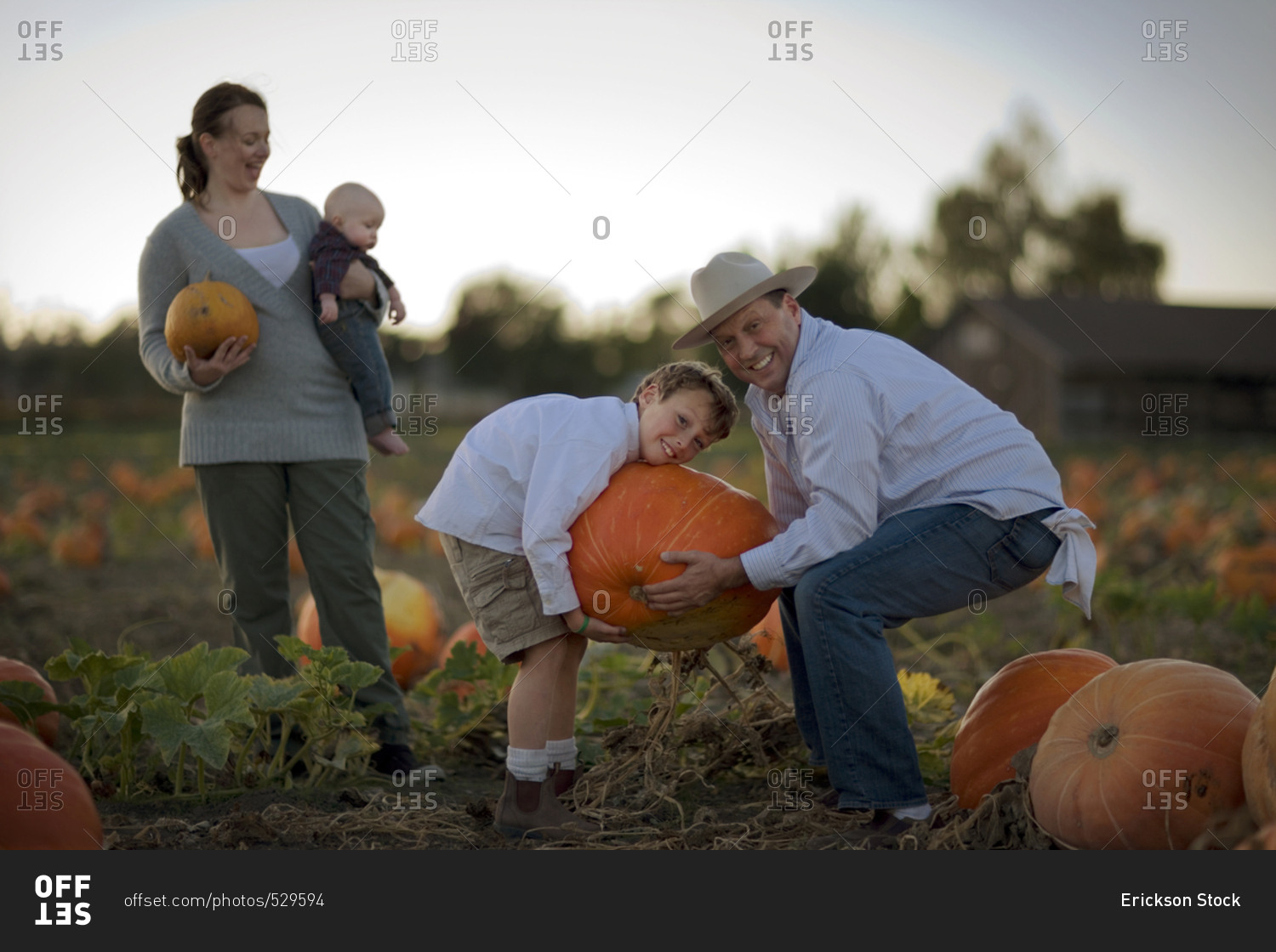 Family choosing a Halloween pumpkin from a field
