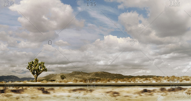 Desert through the highway