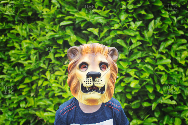 Boy wearing lion mask