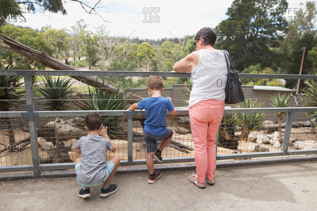 Grandmother and grandsons at a zoo