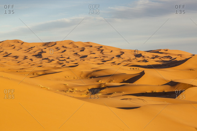 People riding camels crossing the Erg Chebbi sand dunes, Sahara Desert, Merzouga, Morocco.