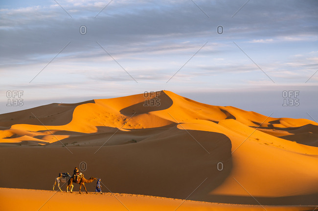 Tuareg man with camels and tourists at the Erg Chebbi sand dunes, Sahara Desert, Merzouga, Morocco.
