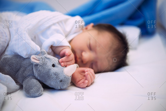 Newborn baby sleeping in bed with a stuffed rhino