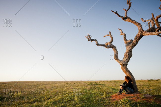 Woman under tree in remote setting