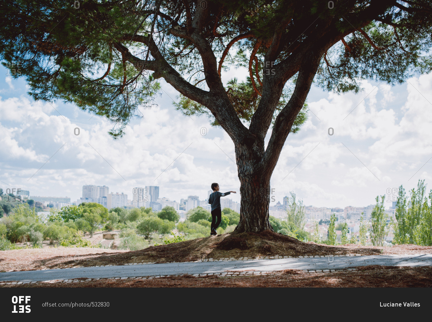 Young Boy Standing Under A Tree With Skyline In Background Stock Photo Offset