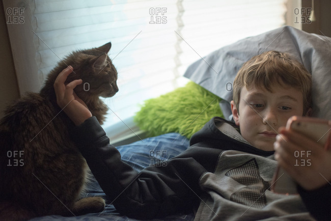 Boy petting cat while looking at cell phone