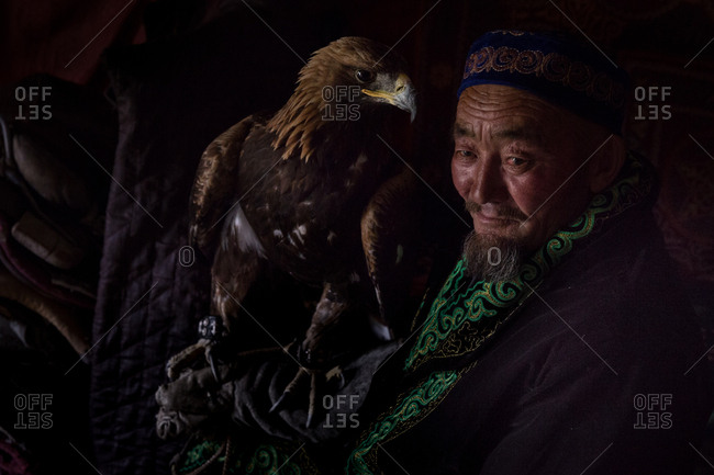 Altai Mountains, Mongolia - July 16, 2016: Senior Kazakh man in traditional clothing holding a golden eagle