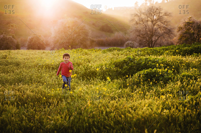 Happy boy walking through a field