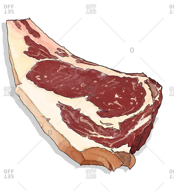 Piece of red meat - Offset