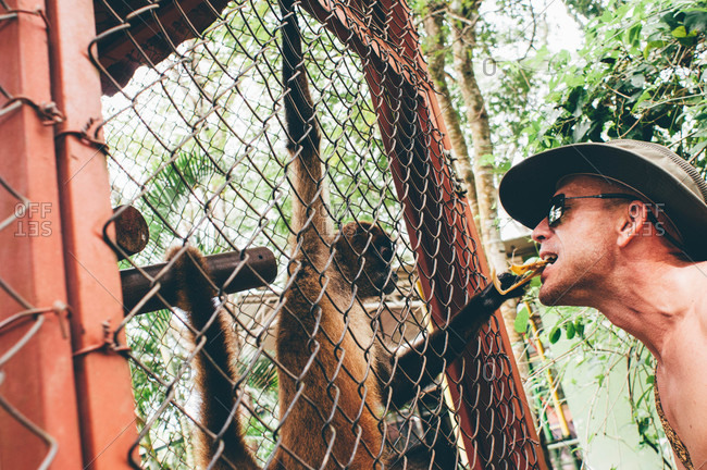 Tamarindo, Costa Rica - October 23, 2012: Man feeding monkey by mouth