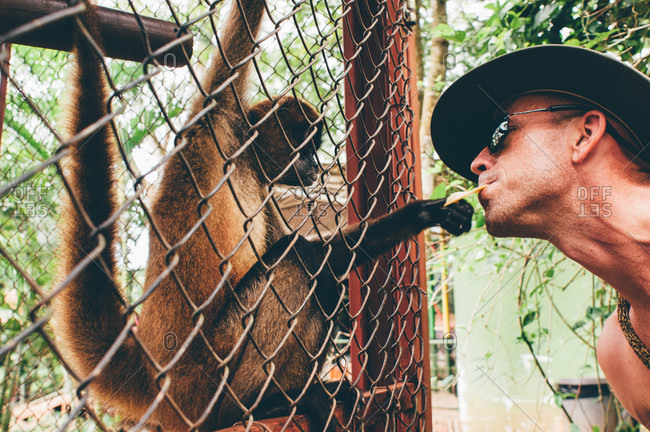 Tamarindo, Costa Rica - October 23, 2012: Man feeding monkey by mouth
