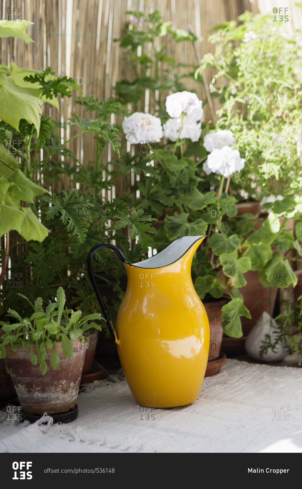 Yellow pitcher by flowers in a home in Stockholm