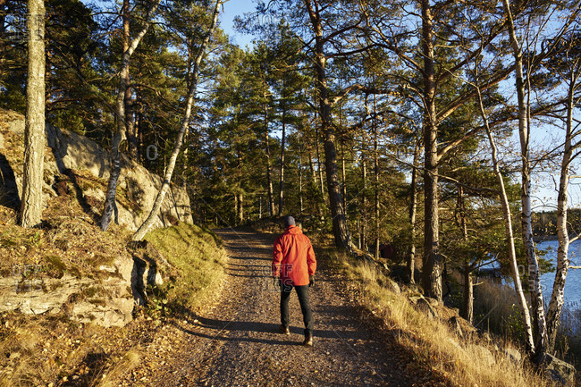 Sweden, Stockholm Archipelago, Varmdo, Bjorno, Man walking on forest road