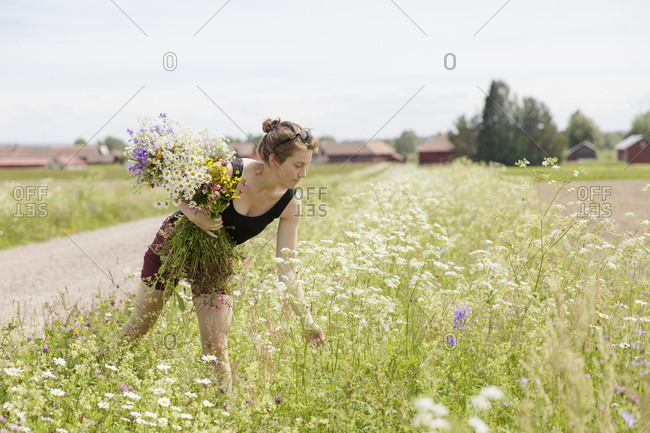Sweden, Dalarna, Mora, Mid adult woman with bunch of wildflowers