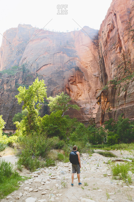 USA, Utah, Man standing by rocks in Zion National Park