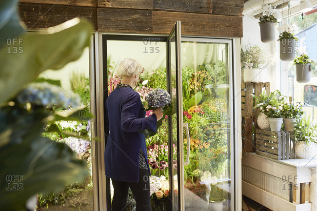 Sweden, Florist working in flower shop