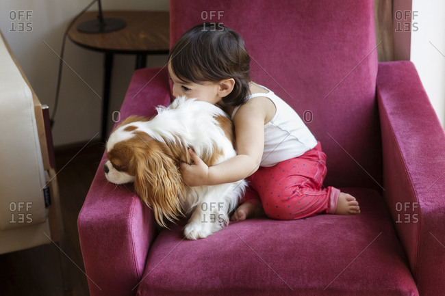 Toddler girl sitting on an armchair cuddling with dog