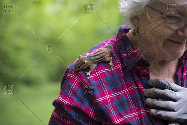 Chipmunk on a woman's shoulder