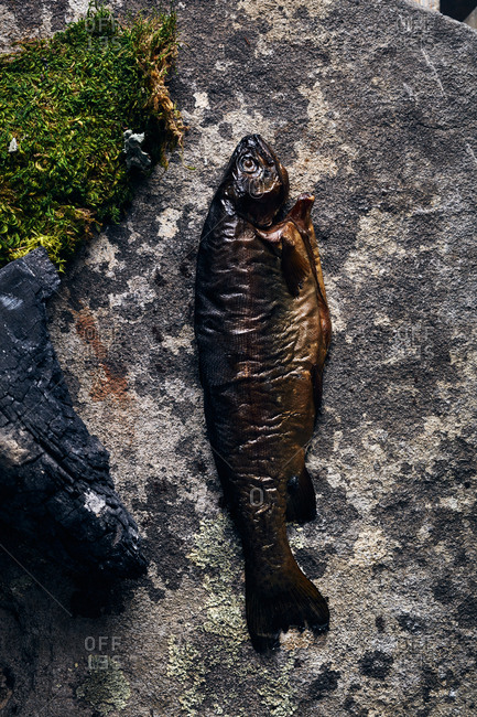 Cooked trout with moss and charred wood