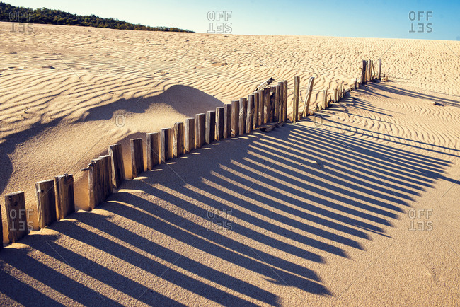 Wooden fence posts and shadows on a sand dune