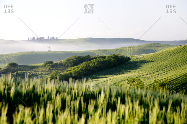 Landscape near Siena
