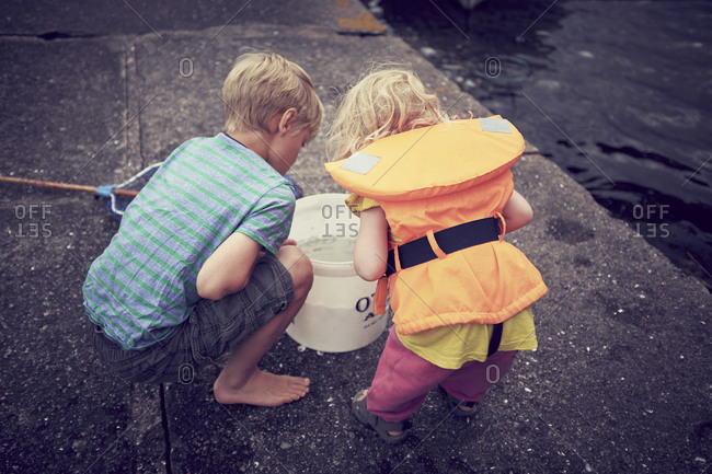Children looking into bucket