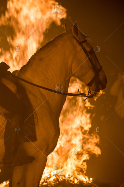 Horse riding through bonfire in a purification ritual