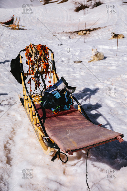 The empty sleds and the dogs resting nearby, vertical outdoors shot,