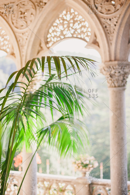 Palm plant on balcony at the Montserrat Palace in Sintra, Portugal