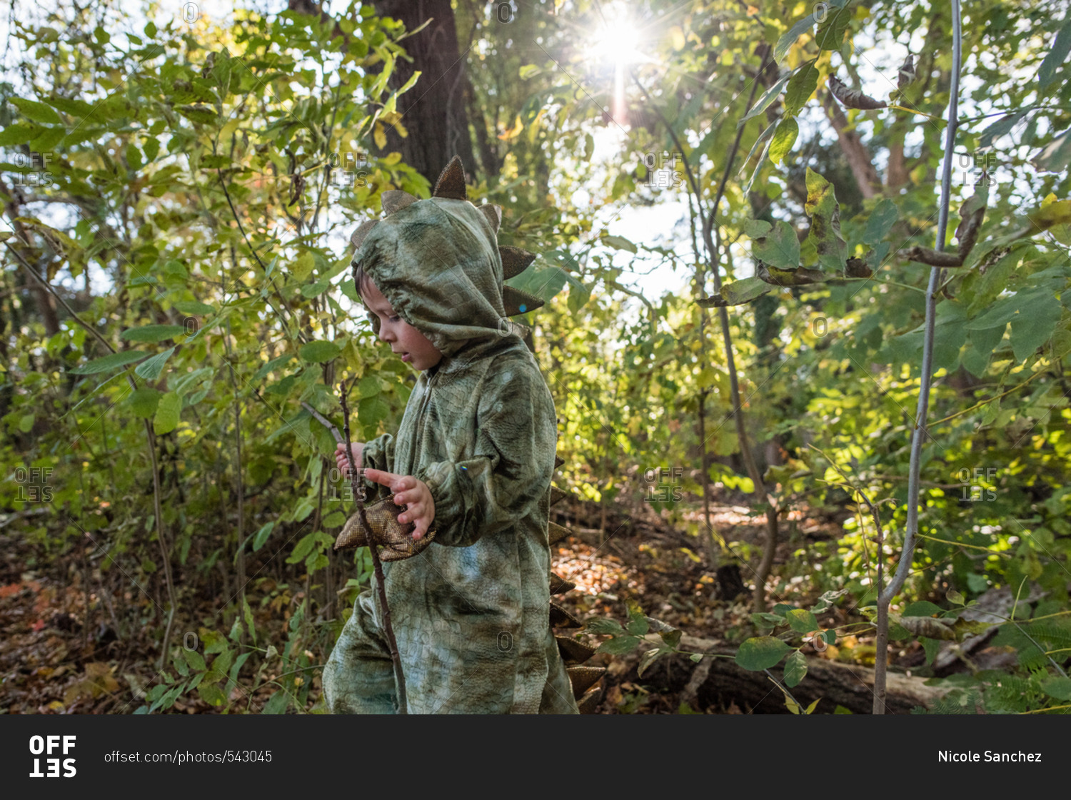 Little boy in a dinosaur costume playing in the woods