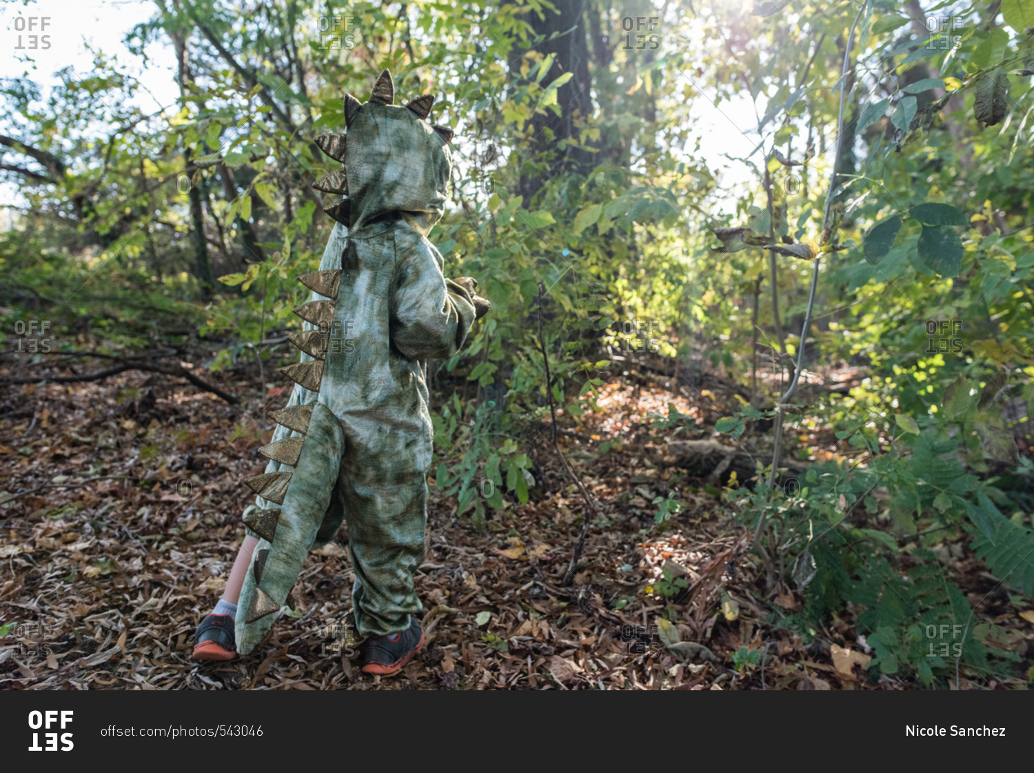 Boy in a dinosaur costume walking in the woods