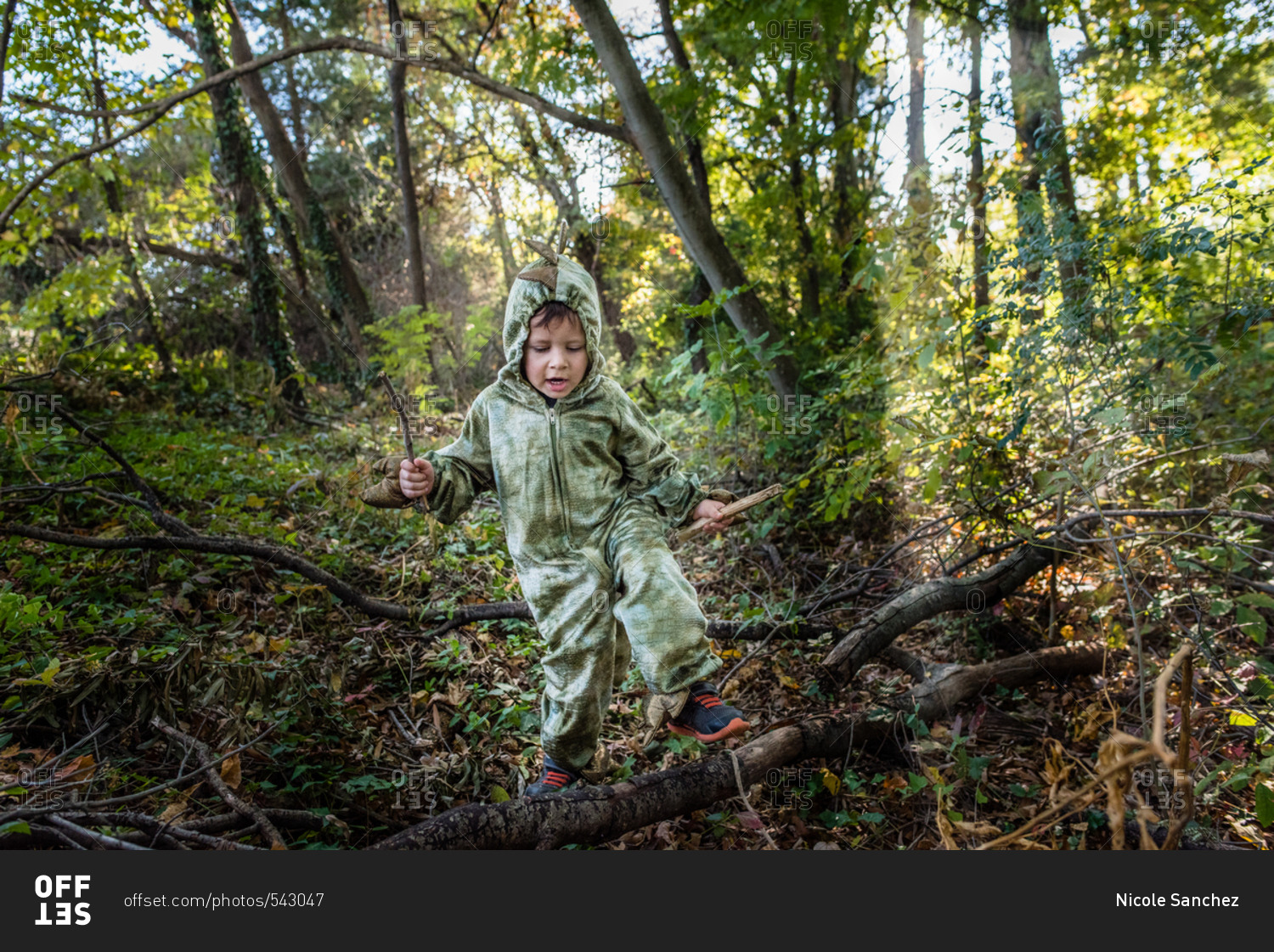 Little boy in a dinosaur costume playing on a log in the forest