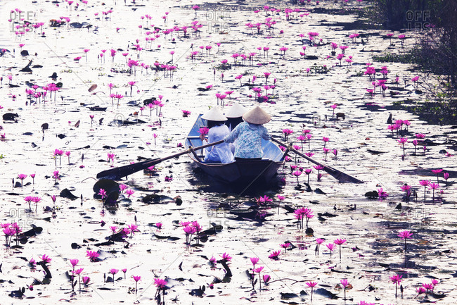 Women in traditional costume sitting on boat in lake with lotus flowers