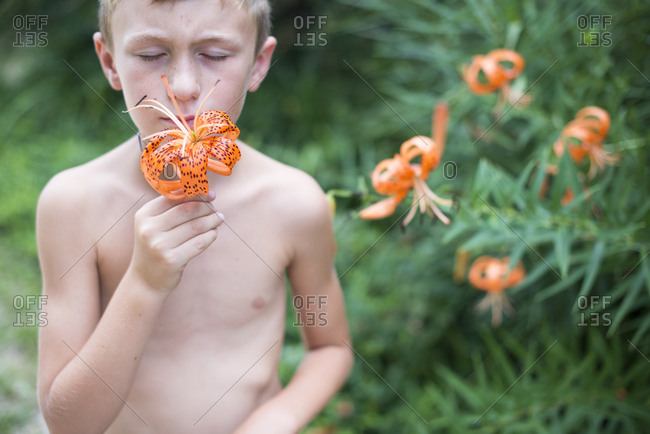 Boy smelling tiger lily flower