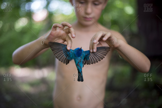 Boy holding bird by its wings