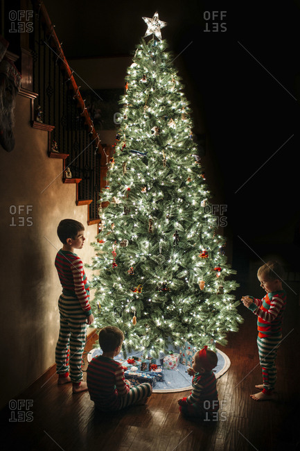 Siblings by Christmas tree at home