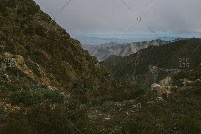 Green mountains in desert