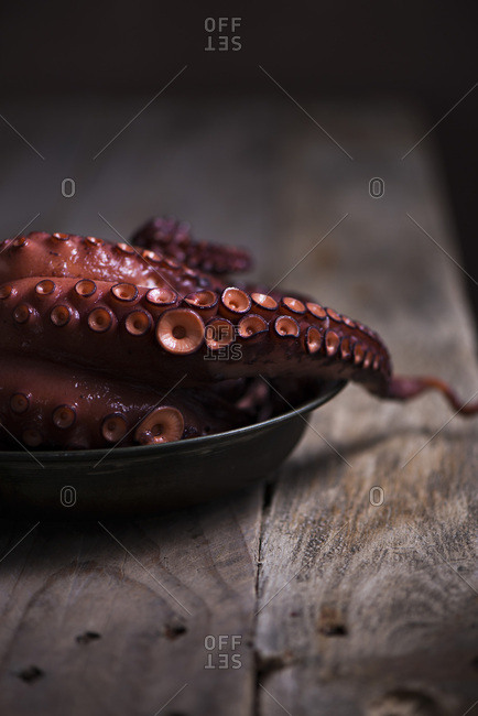 An octopus tentacle - Offset Collection