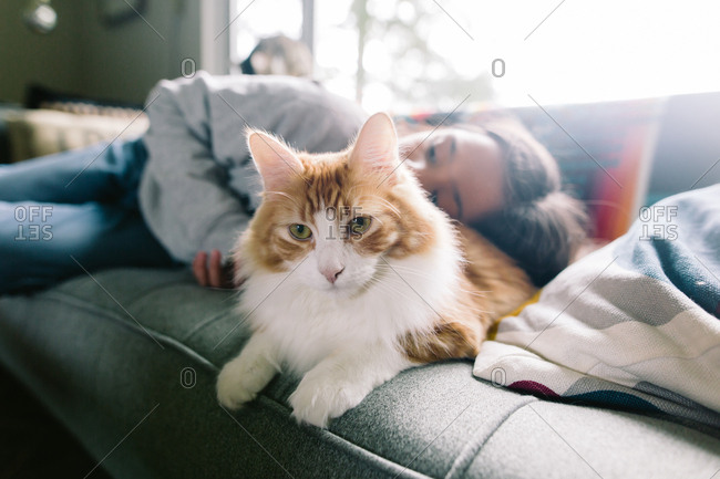 Child Cuddling On Sofa With Cat Stock Photo Offset