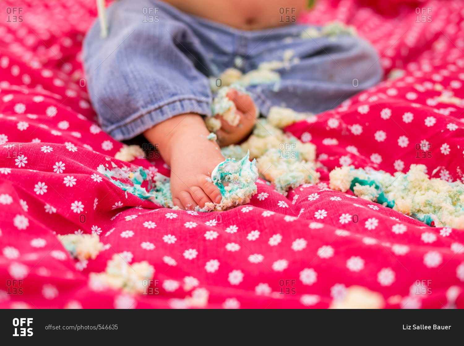 one-year-old-boy-at-a-cake-smash-stock-photo-offset